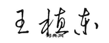 駱恆光王植東草書個性簽名怎么寫