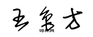 朱錫榮王魯方草書個性簽名怎么寫