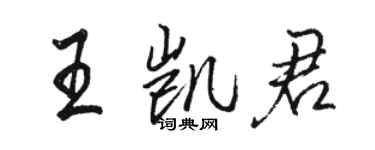 駱恆光王凱君行書個性簽名怎么寫