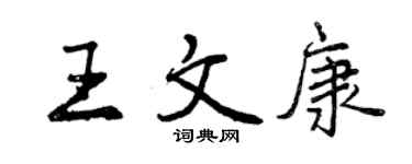曾慶福王文康行書個性簽名怎么寫