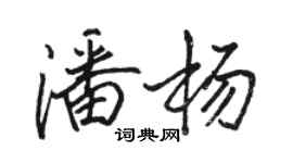駱恆光潘楊行書個性簽名怎么寫