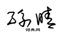 朱錫榮孫晴草書個性簽名怎么寫