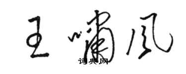駱恆光王嘯風草書個性簽名怎么寫