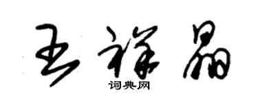 朱錫榮王祥晶草書個性簽名怎么寫