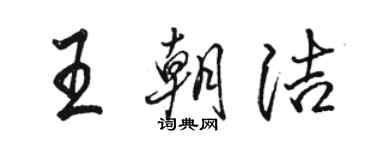 駱恆光王朝潔行書個性簽名怎么寫