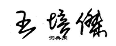 朱錫榮王培傑草書個性簽名怎么寫