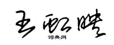 朱錫榮王虹映草書個性簽名怎么寫