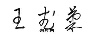 駱恆光王武菊草書個性簽名怎么寫