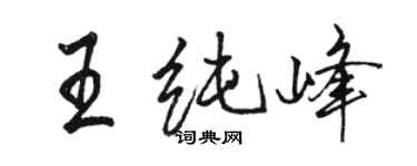 駱恆光王純峰行書個性簽名怎么寫