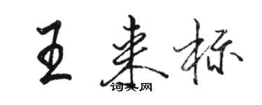 駱恆光王來標行書個性簽名怎么寫