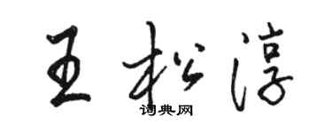 駱恆光王松淳行書個性簽名怎么寫