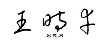 梁錦英王時幸草書個性簽名怎么寫