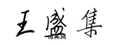 王正良王盛集行書個性簽名怎么寫