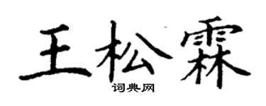 丁謙王松霖楷書個性簽名怎么寫