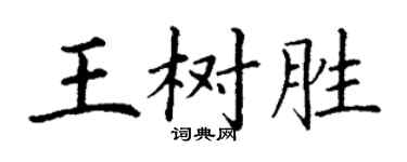 丁謙王樹勝楷書個性簽名怎么寫