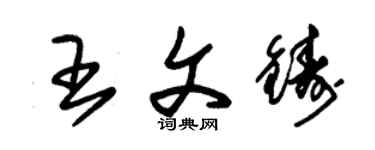 朱錫榮王文鑄草書個性簽名怎么寫