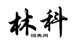 胡問遂林科行書個性簽名怎么寫
