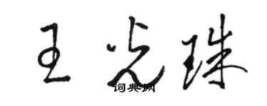 駱恆光王光珠草書個性簽名怎么寫