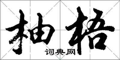 胡問遂柚梧行書怎么寫