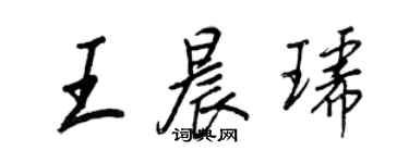 王正良王晨琥行書個性簽名怎么寫