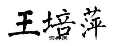 翁闓運王培萍楷書個性簽名怎么寫
