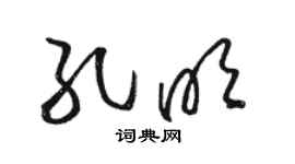 駱恆光孔明草書個性簽名怎么寫