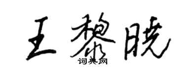 王正良王黎曉行書個性簽名怎么寫