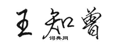 駱恆光王知曾行書個性簽名怎么寫