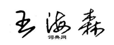 朱錫榮王海森草書個性簽名怎么寫