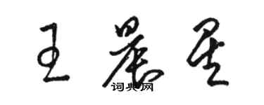 駱恆光王晨星草書個性簽名怎么寫