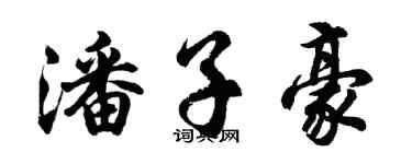 胡問遂潘子豪行書個性簽名怎么寫