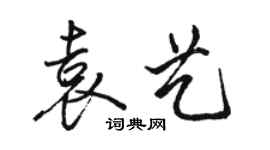 駱恆光袁藝行書個性簽名怎么寫