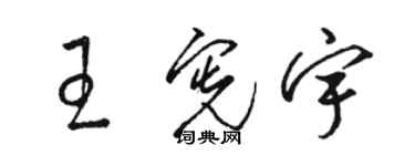 駱恆光王憲宇草書個性簽名怎么寫