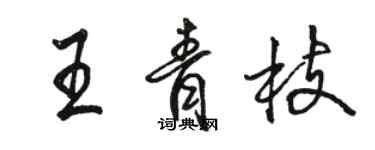 駱恆光王青枝行書個性簽名怎么寫
