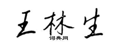 王正良王林生行書個性簽名怎么寫