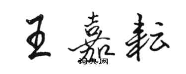 駱恆光王嘉耘行書個性簽名怎么寫