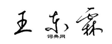 梁錦英王東霖草書個性簽名怎么寫