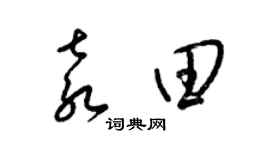 梁錦英袁田草書個性簽名怎么寫