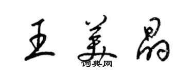 梁錦英王美晶草書個性簽名怎么寫