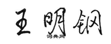 駱恆光王明鋼行書個性簽名怎么寫
