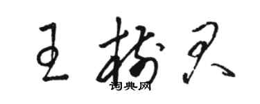 駱恆光王樹君草書個性簽名怎么寫