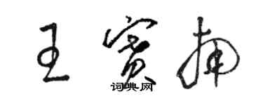 駱恆光王賽南草書個性簽名怎么寫