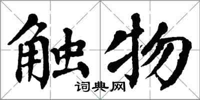 翁闓運觸物楷書怎么寫