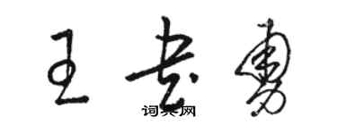 駱恆光王書勇草書個性簽名怎么寫