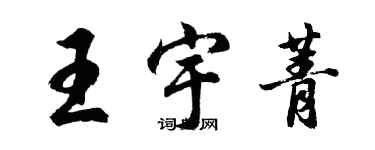 胡問遂王宇菁行書個性簽名怎么寫