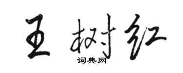 駱恆光王樹紅行書個性簽名怎么寫