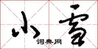 劉少英小雪草書怎么寫