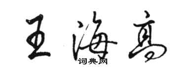 駱恆光王海高行書個性簽名怎么寫