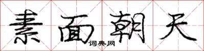龐中華素麵朝天行書怎么寫
