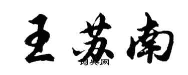 胡問遂王蘇南行書個性簽名怎么寫